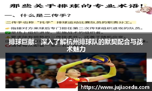 排球巨献：深入了解杭州排球队的默契配合与战术魅力